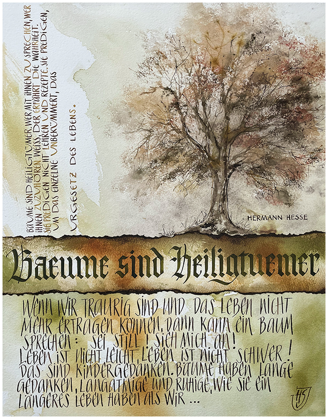 <b>Titel:</b> Bume sind Heiligtmer... H. Hesse    <b>Technik:</b> Collage: Aquarell auf Bttenpapier <br /><b>Gre:</b> 50 x 60 cm inkl. Passepartout   <b>Preis:</b> 390,- Euro